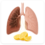Lung Recovery Illustration