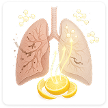 Respiratory Cleansing Illustration