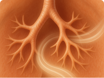 Respiratory Relief Illustration