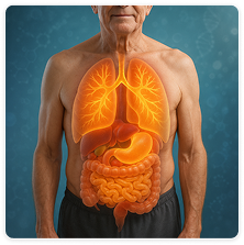 Healthy Body Illustration