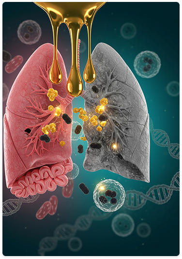 Immune System Illustration